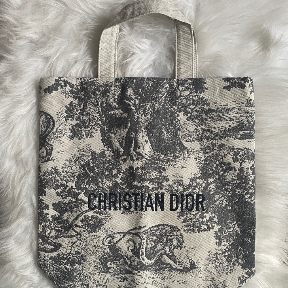 Dior Toile de Jouy Embroidery Canvas Tote Bag